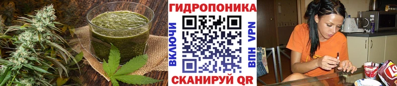 купить наркотик  Вязники  Canna-Cookies конопля 