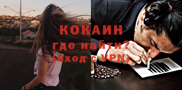 хмурый Бородино