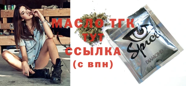 хмурый Бородино