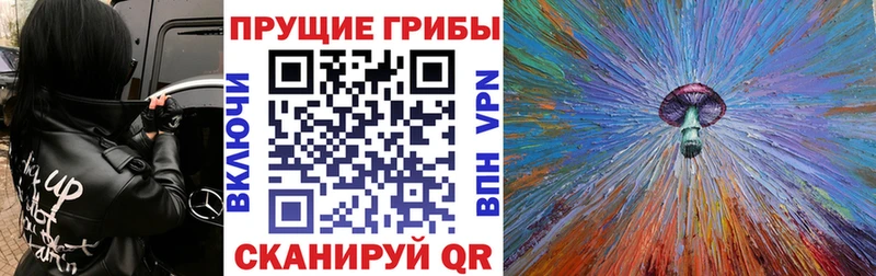 ОМГ ОМГ зеркало Вязники Галлюциногенные грибы GOLDEN TEACHER